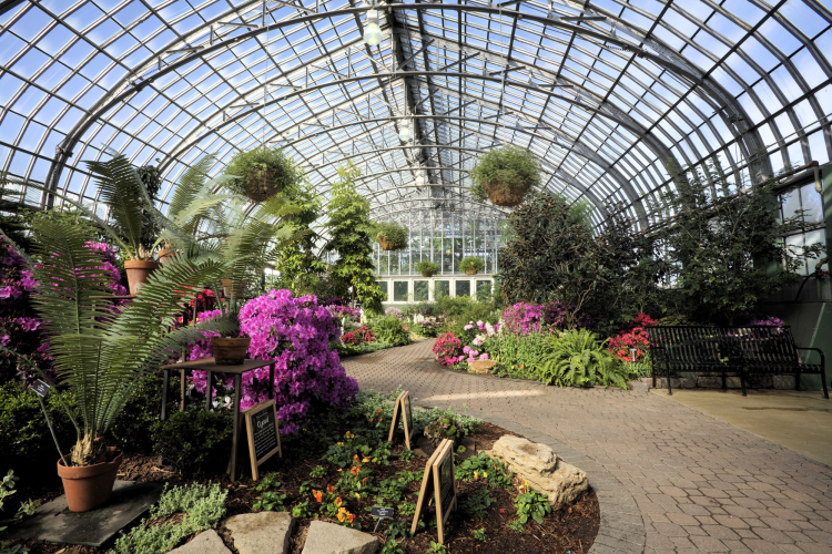 Garfield park conservatory is a fun thing to do in Chicago with kids