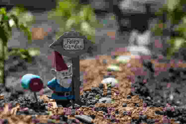 Gnome in fairy garden