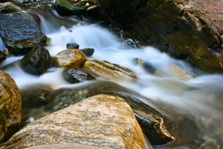 Long exposure creates dynamic movement