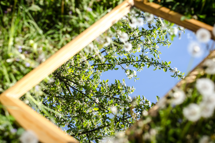 mirror in a garden of flowers