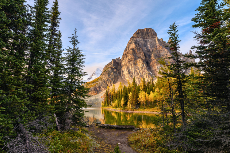 Mount Assiniboine