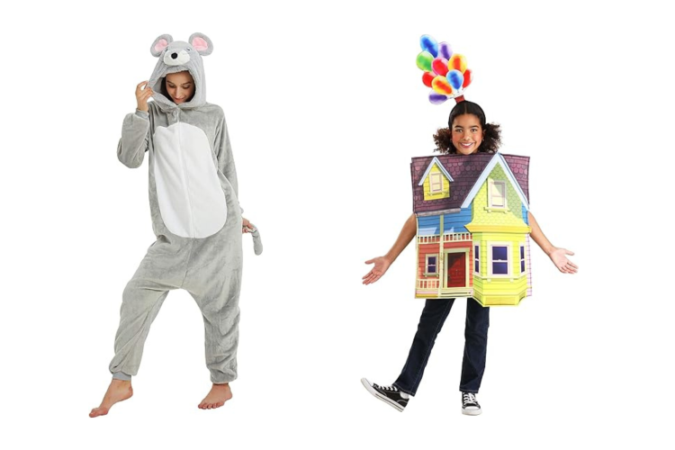 Mouse and House