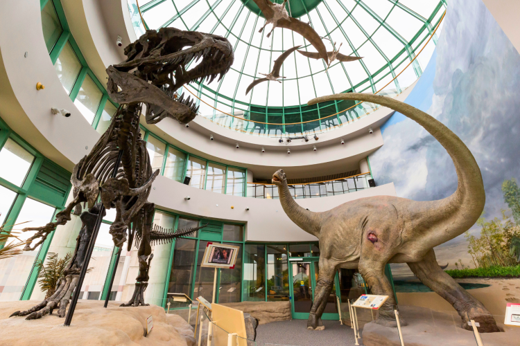 NC Museum Natural History Raleigh