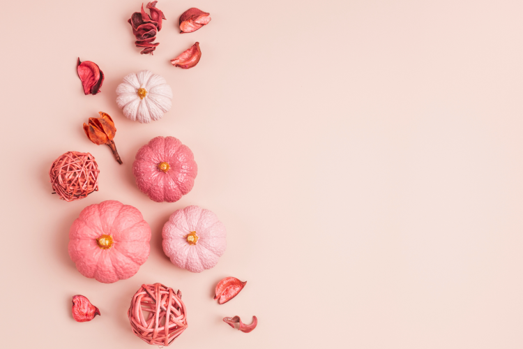 mini pink pumpkins in different shades