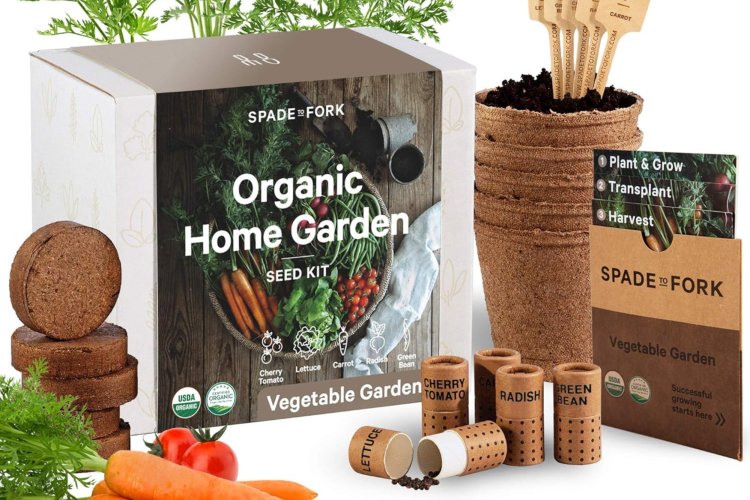 Organic Herb Garden Kit