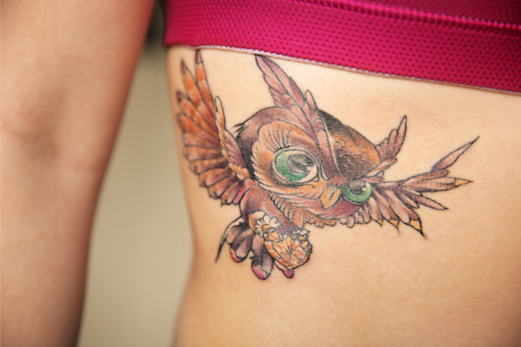 Owl