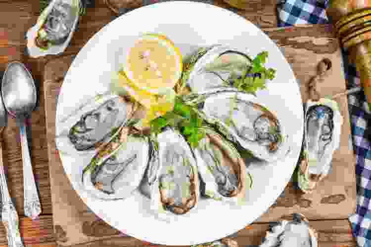 oysters on the half shell on ice