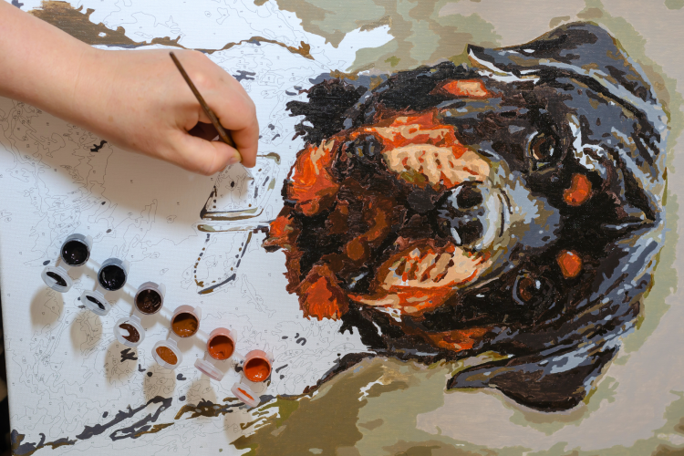 learn to paint with paint by numbers kits