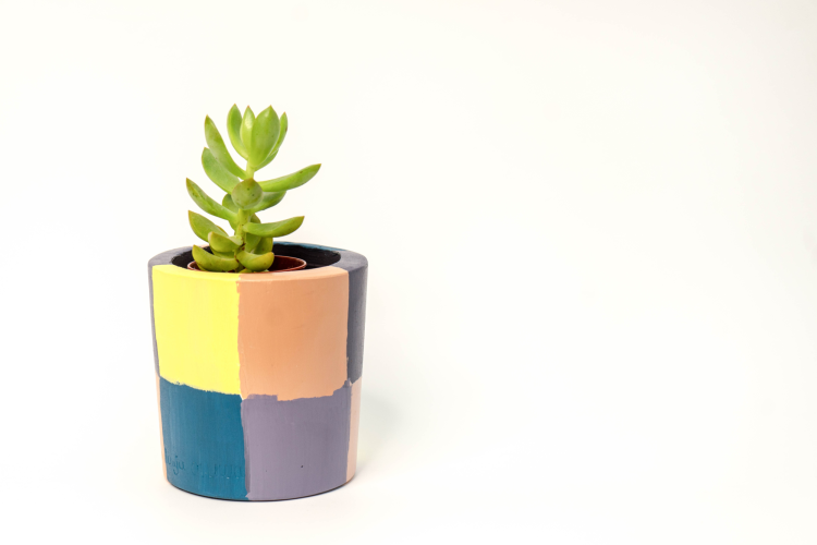 Paint Plant Pots