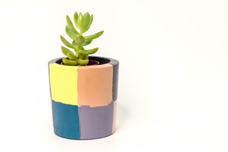 Painted Plant Pots