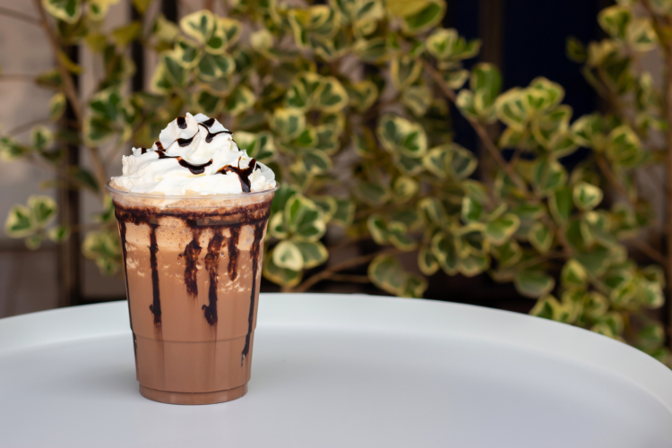 Peppermint Mocha Starbucks WInter Drinks