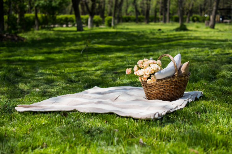 Birthday picnic for 29th birthday idea