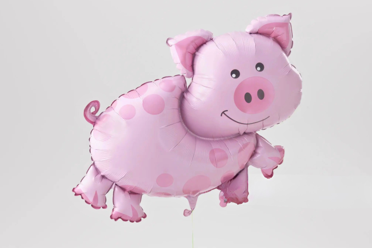Pig balloon