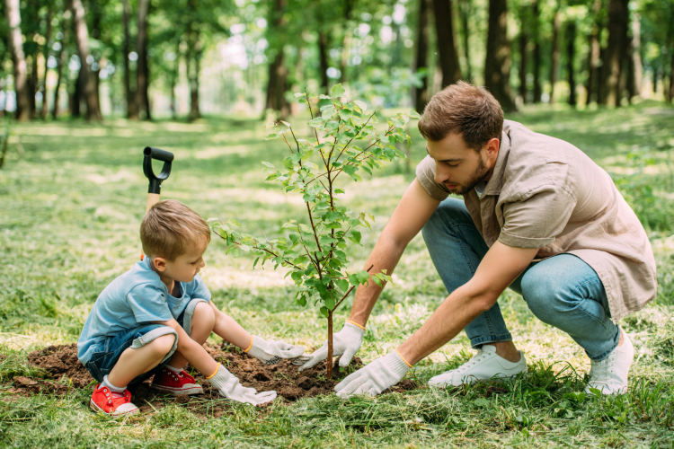 father and child planting a tree together