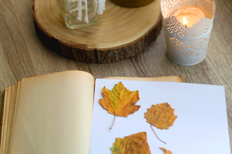 pressed fall leaves in book next to candle as fall activity
