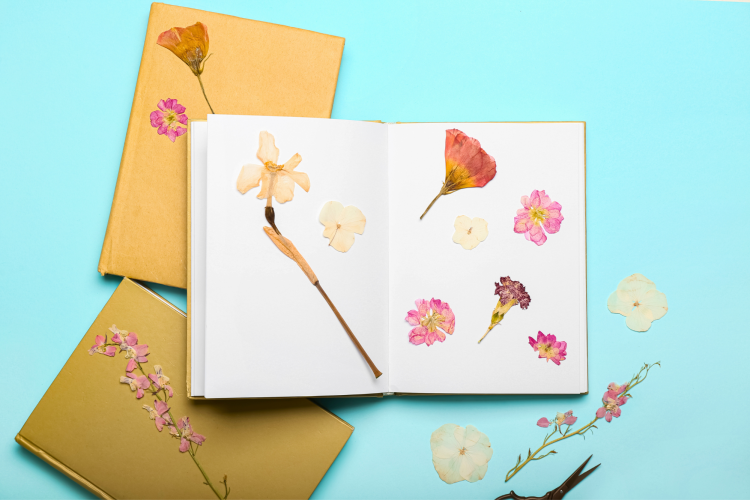 making cards out of pressed dried flowers as a Valentine's Day craft idea