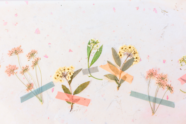 pressed flowers art journal idea