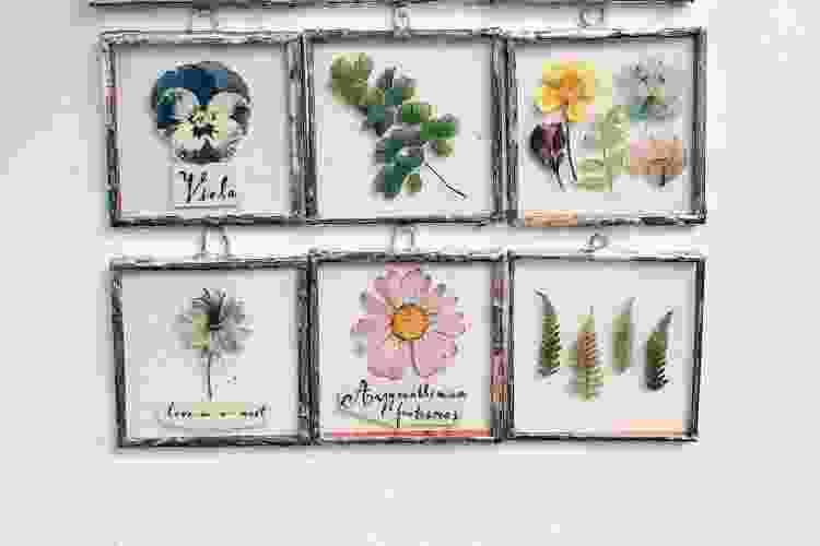 Framed pressed flowers