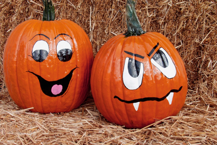 mini pumpkins with silly faces painted on them