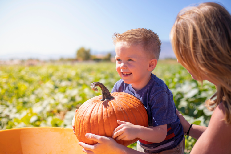 toddler and mother playing in pumpkin patch