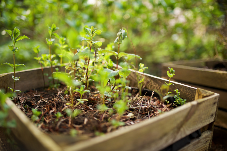 Raised bed container garden idea
