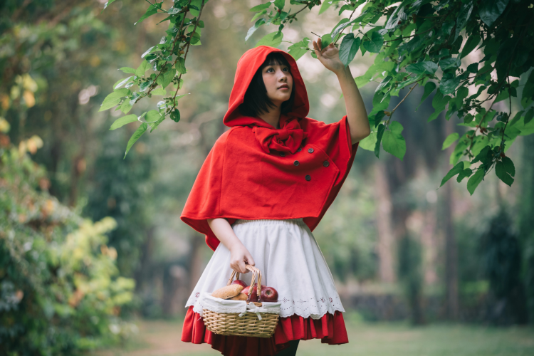 Red riding hood costume
