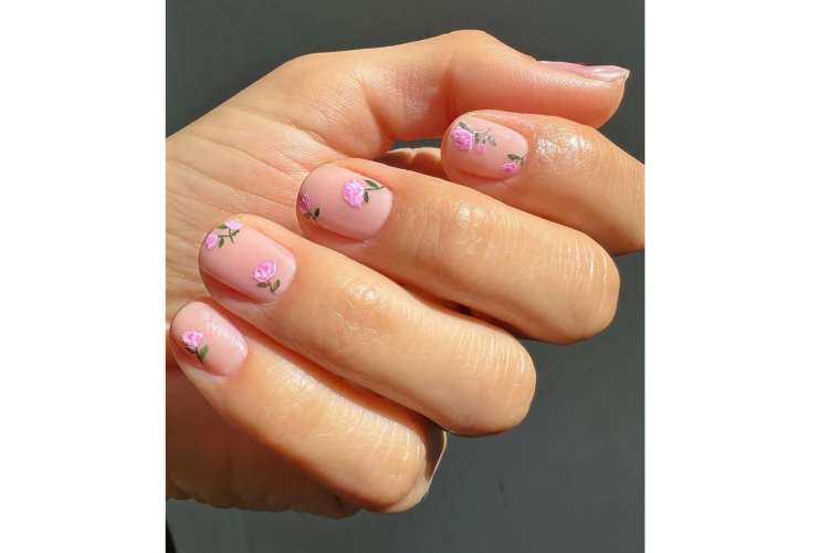 Rose Petal-Inspired Design