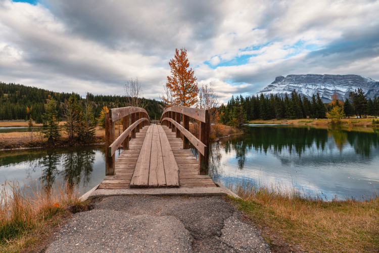 pond and brige in Rundle Park