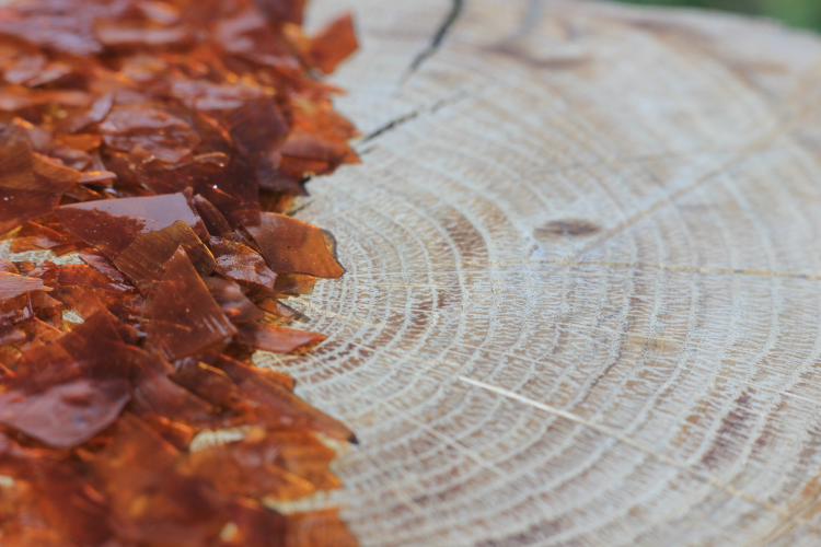 Shellac on wood