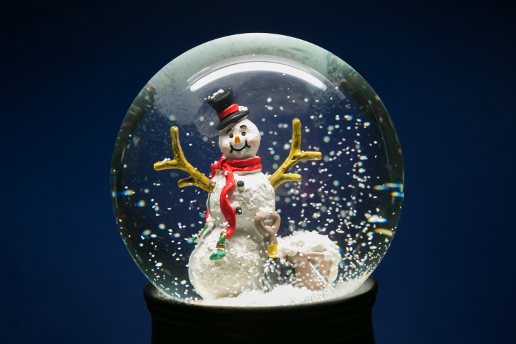Snow Globe Ornament