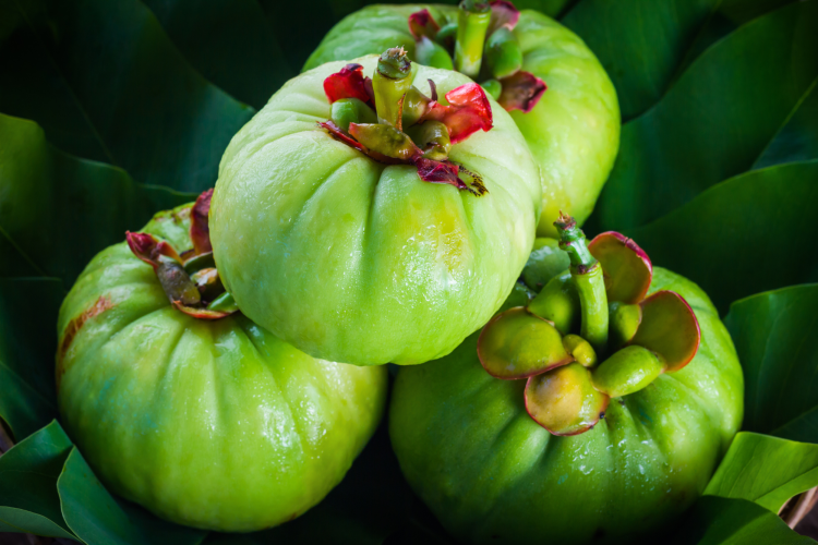Hero Object in Still Life Photography