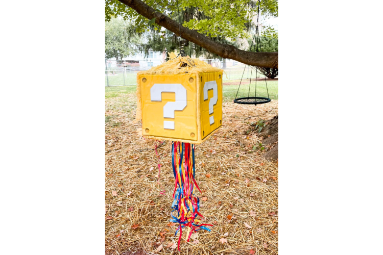 Super Mario Party Question Block Pinata