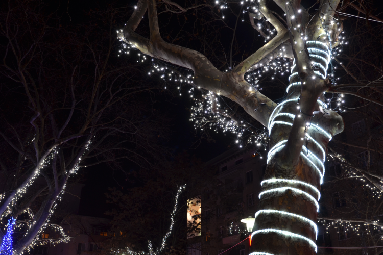 Tree Trunk Lights Christmas Decor Idea