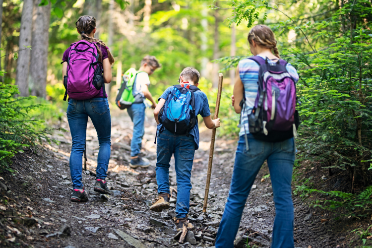 Family on hiking trail