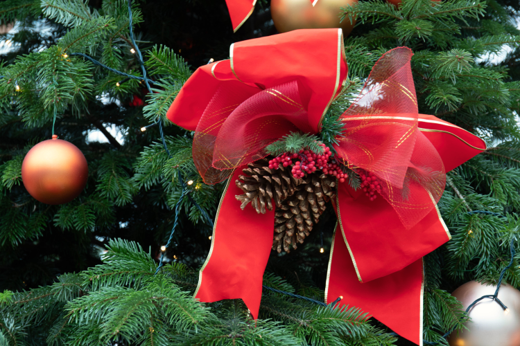 Velvet ribbon decoration