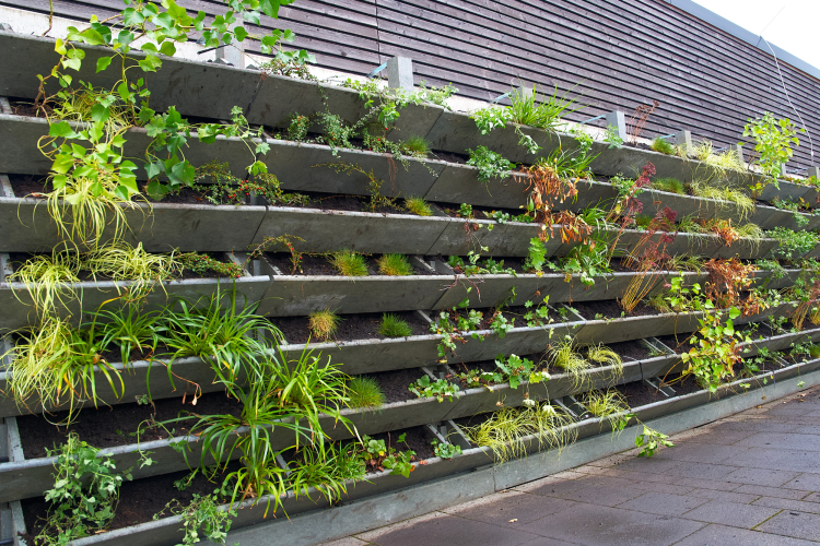Fence garden