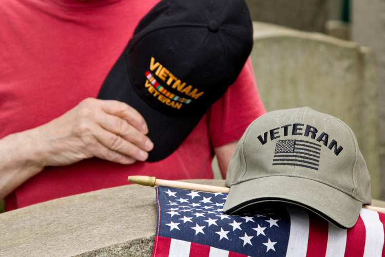 Veterans Day November Holiday