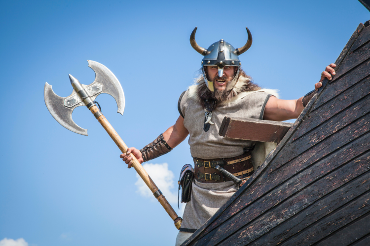 Viking Halloween Costume Idea