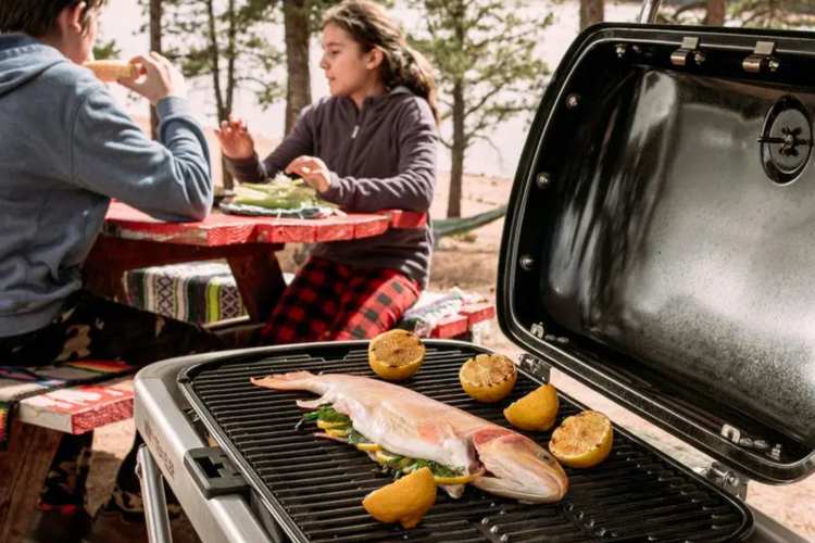 portable Weber grill with large fish and lemons on the grill