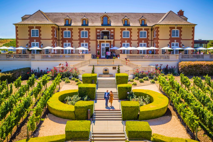 Explore the beautiful grounds of best wineries in napa