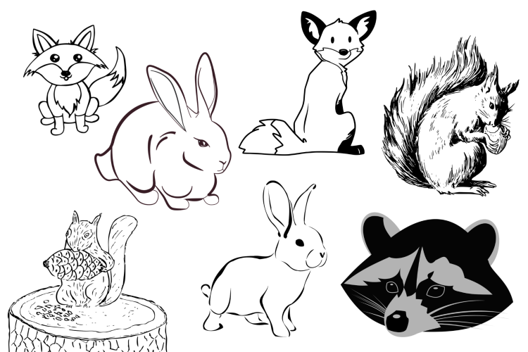 Woodland creatures doodle