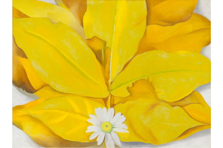 Yellow Hickory Leaves with Daisy