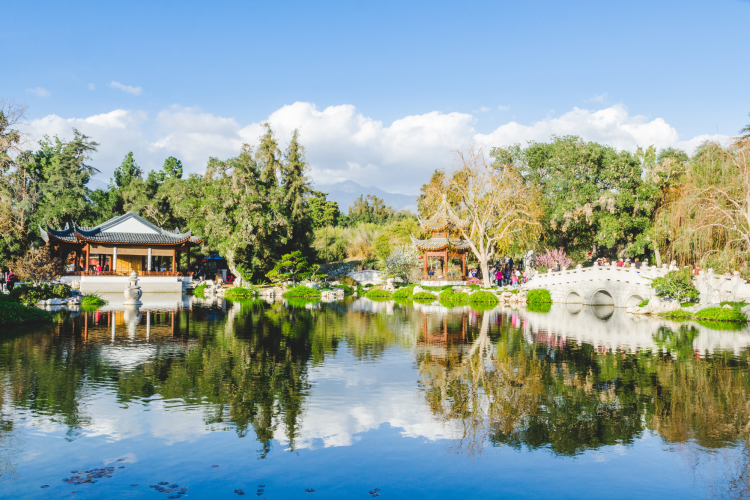 huntington library and botanical gardens