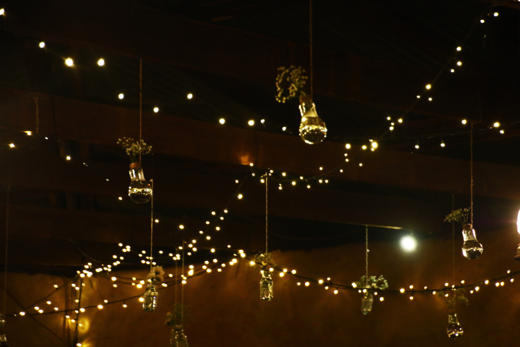 twinkle lights decorations