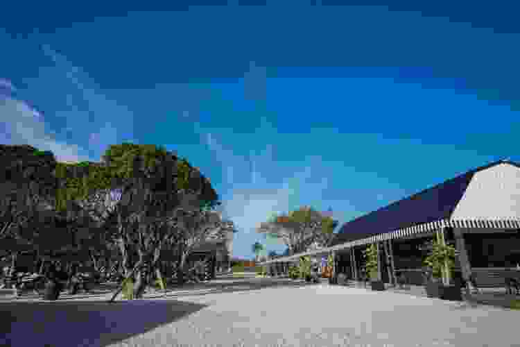 The Berry Farm, Miami