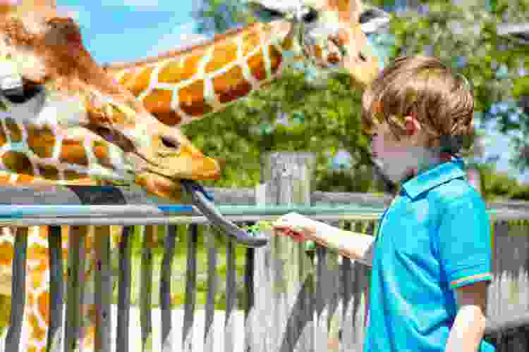 Miami zoo