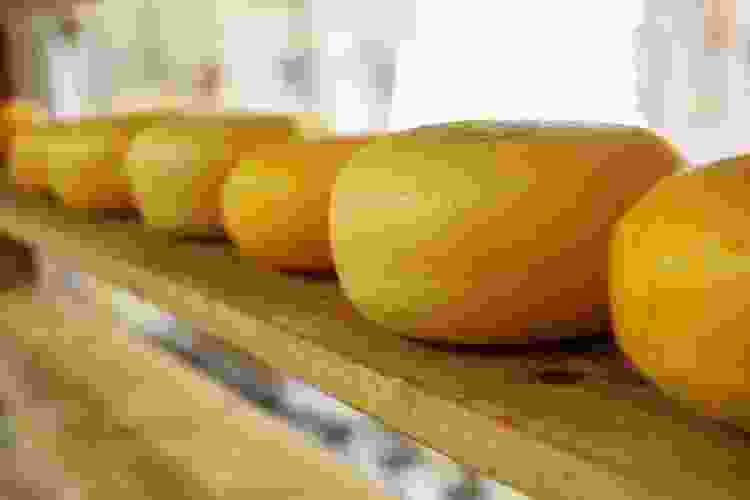 Gruyère Cheese wheels