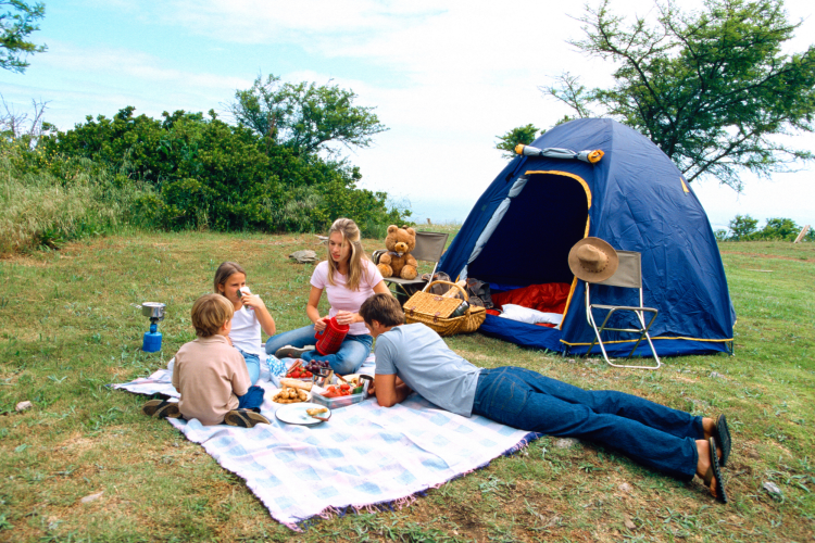 Family Camping Picnic trivia