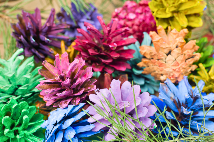 upcycling natural objects
