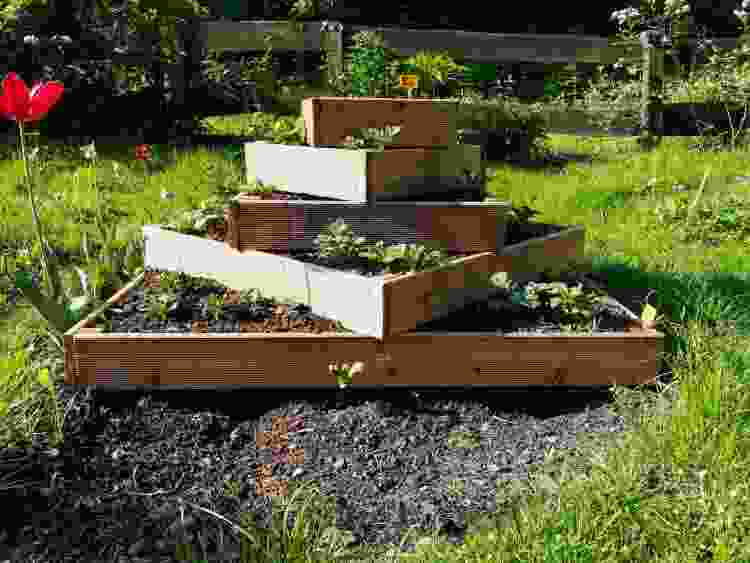 potted plants yard